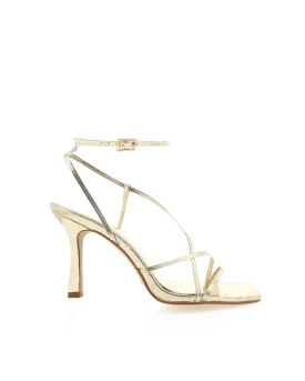 Stevie Heel
